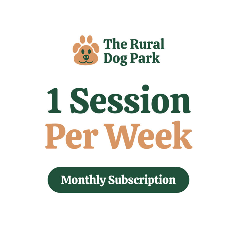 Membership: 1 Session Weekly